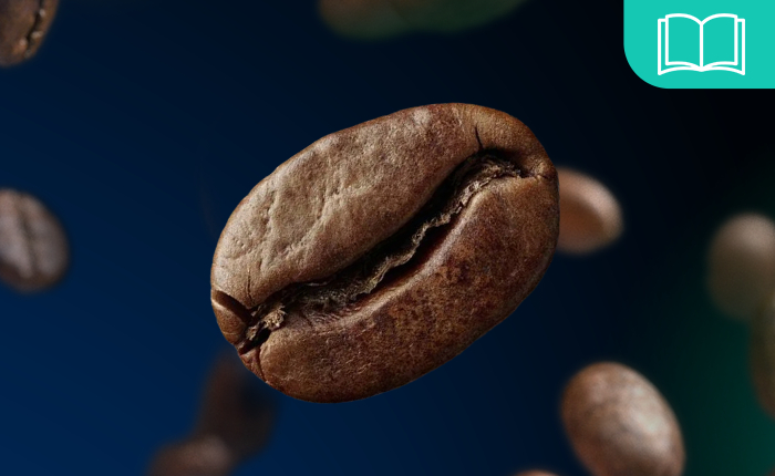 Guida investimenti nel caffè