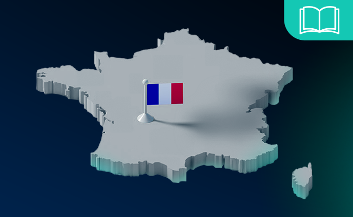 CAC 40: Anleitfaden